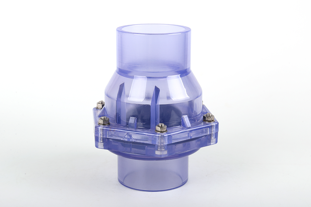 扶沟透明翻板式止回阀